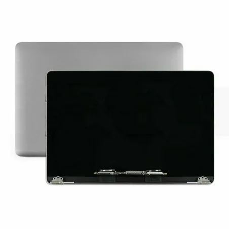 Écran complet pour Apple MacBook Air 13" A1932 A2179 Gris Sideral