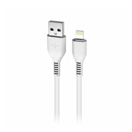 Câble USB / Lightning 1M