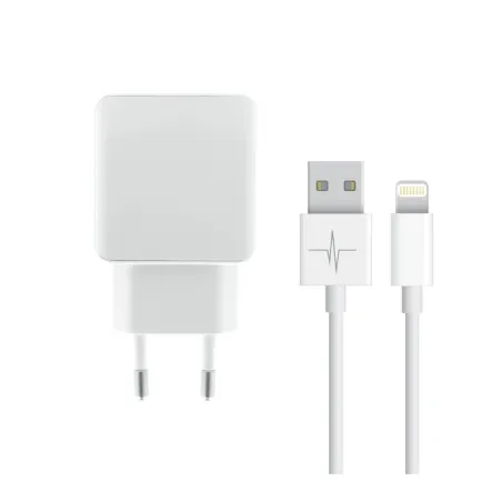 Pack Chargeur Secteur USB + Câble Lightning 1M pour iPhone - Macinfo