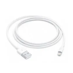 Apple - Câble USB vers Lightning 1M disponible sur Paris