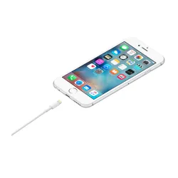 Apple - Câble USB vers Lightning 1M disponible sur Paris