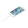 Apple - Câble USB vers Lightning 1M disponible sur Paris