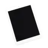 Ecran Apple iPad Air 2 Blanc A1566 A1567 Dalle LCD + Vitre Tactile Assemblé