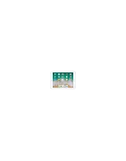 iPad 6